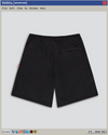 BLACK CALLIGRAPHY MESH SHORTS