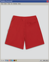 BURNT RED CALLIGRAPHY MESH SHORTS