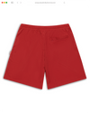 BURNT RED CALLIGRAPHY MESH SHORTS